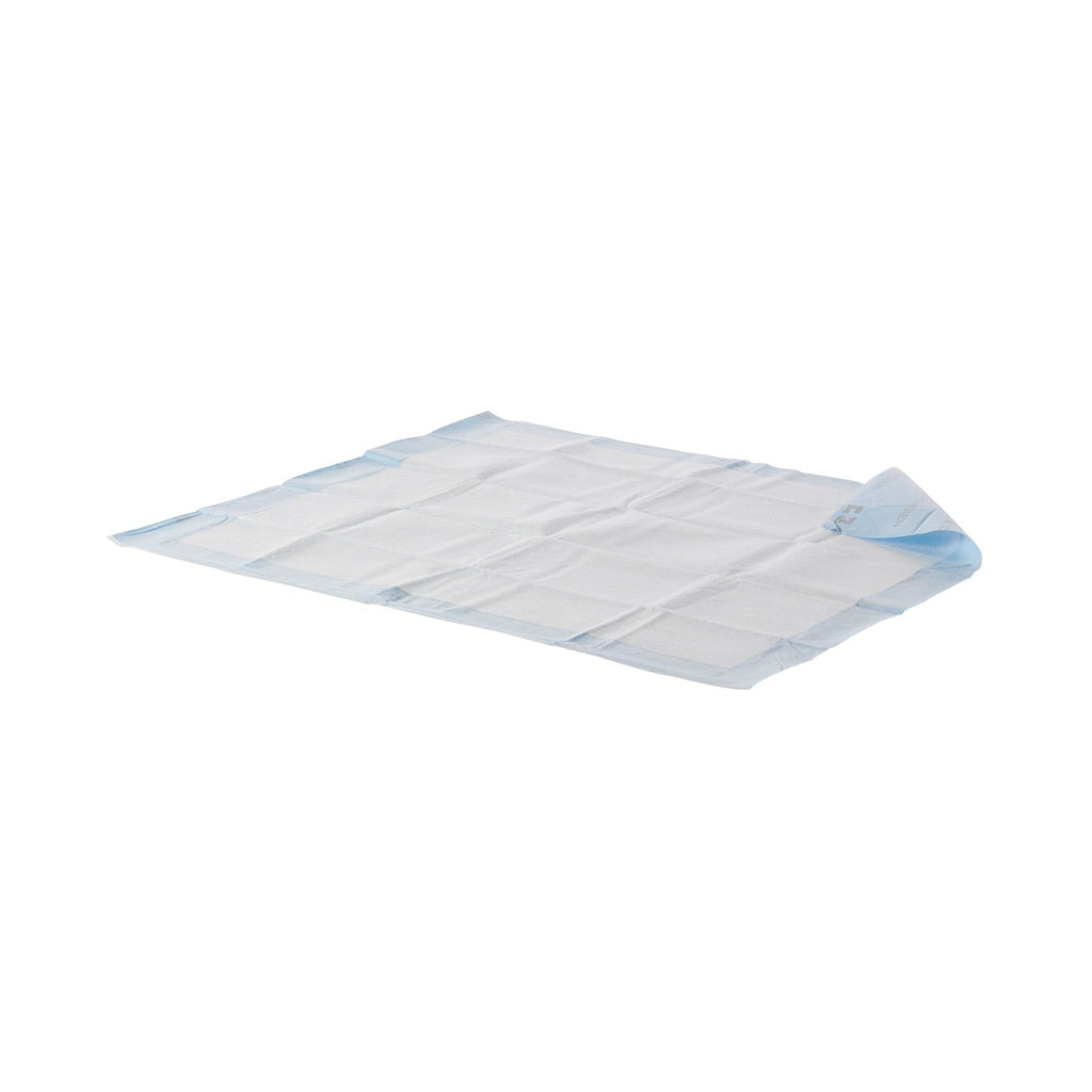 Wingsâ„¢ Quilted Premium Strength Maximum Absorbency Positioning Underpad, 30 x 36 Inch