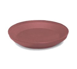 DinexÂ¨ Base