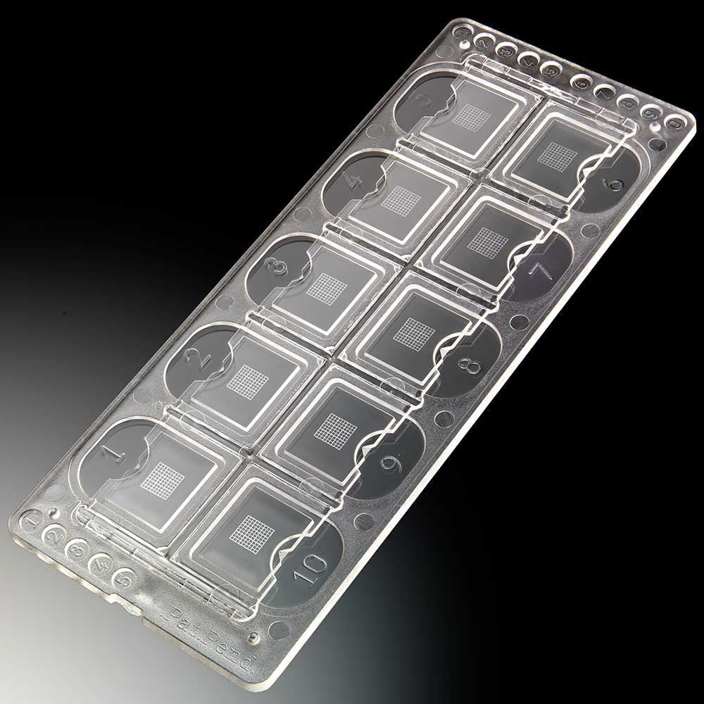 McKesson Acrylic Microscope Precision Grid Slide, 10-Chamber