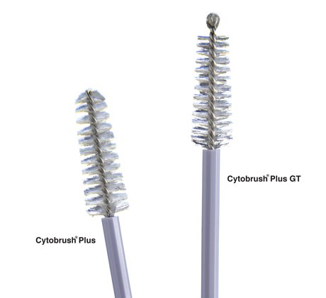 Cytobrush PlusÂ¨ Cytology Brush