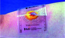Sticky Image