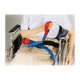 Sticky Image