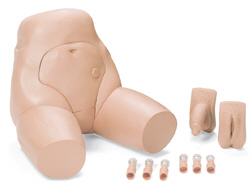 Laerdal Medical Interchangeable Catheterization & Enema Task Trainer