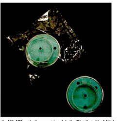 HibiclensÂ¨ Replacement Pump Assembly