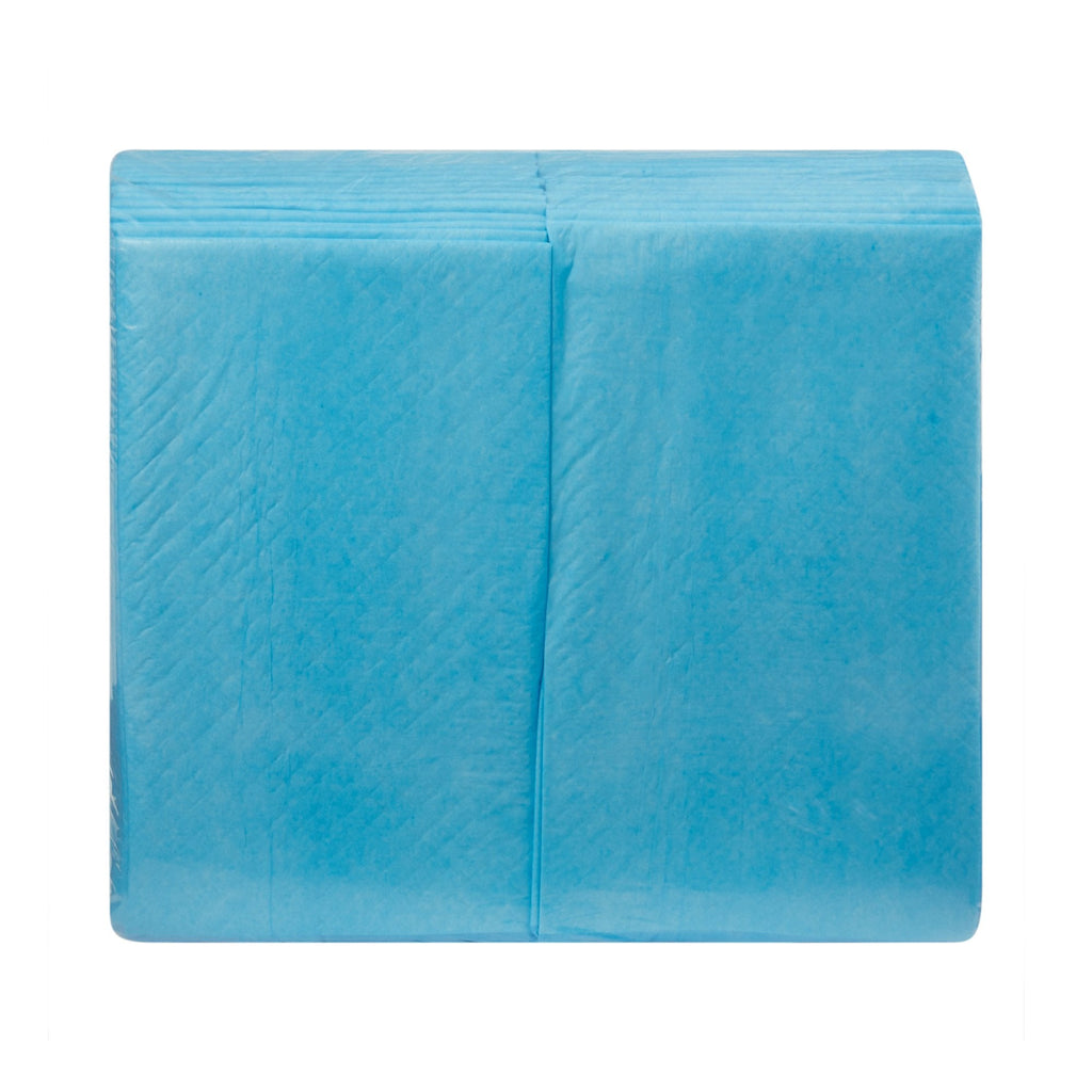 McKesson Light Absorbency Underpad, 17 x 22 Inch