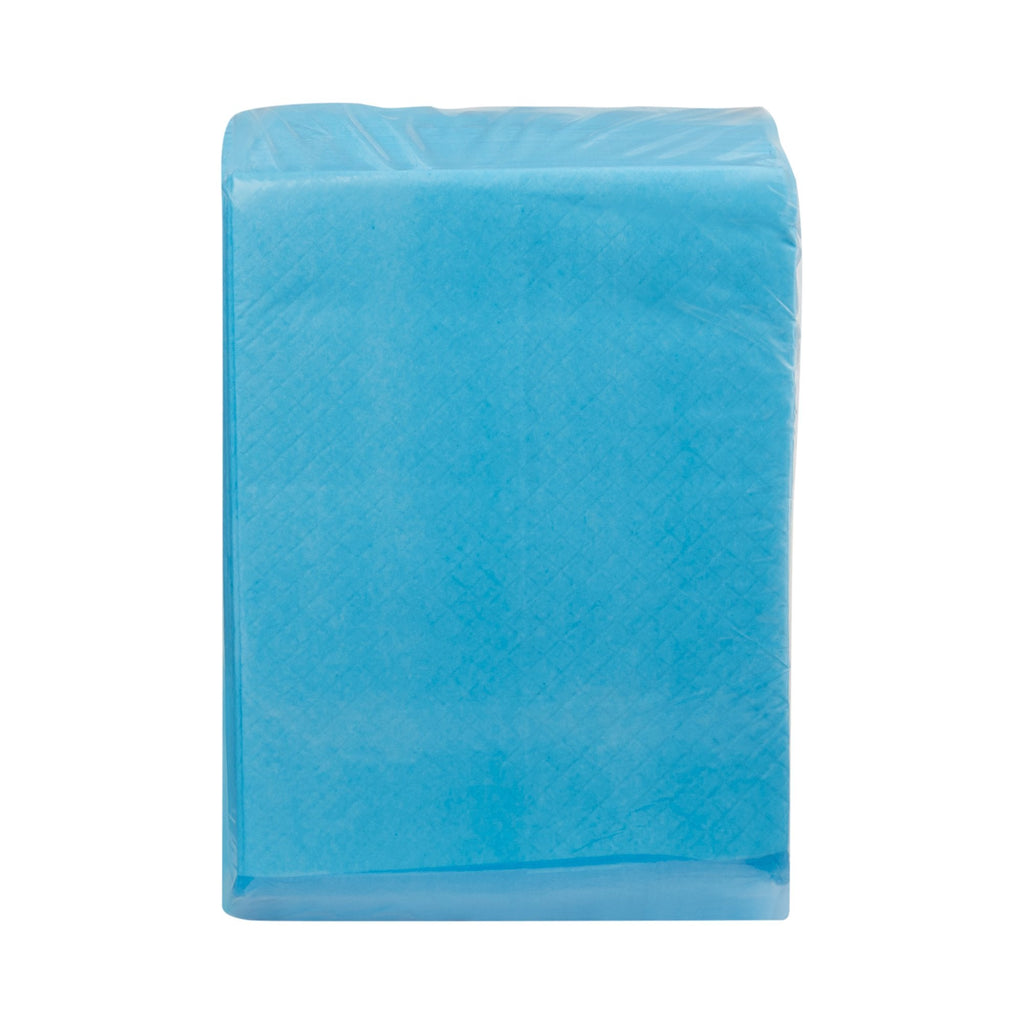 McKesson Light Absorbency Underpad, 22 x 24 Inch