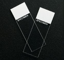 SPÂ¨ SuperfrostÂ¨ Microscope Slide