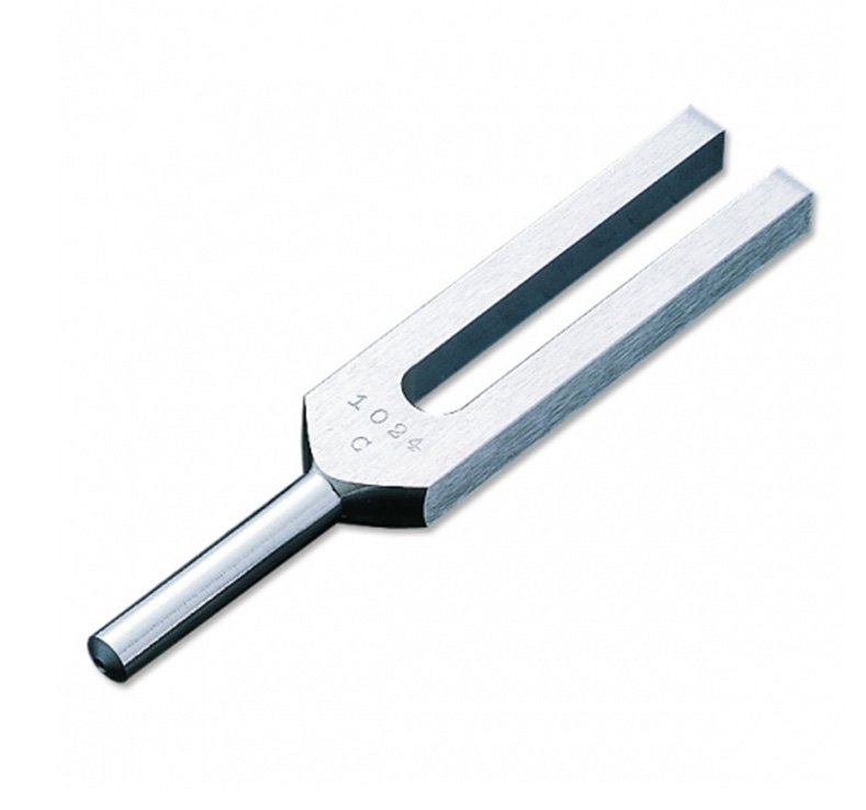 ADCÂ¨Tuning Fork