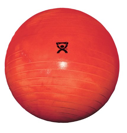 CanDoÂ¨ Exercise Ball