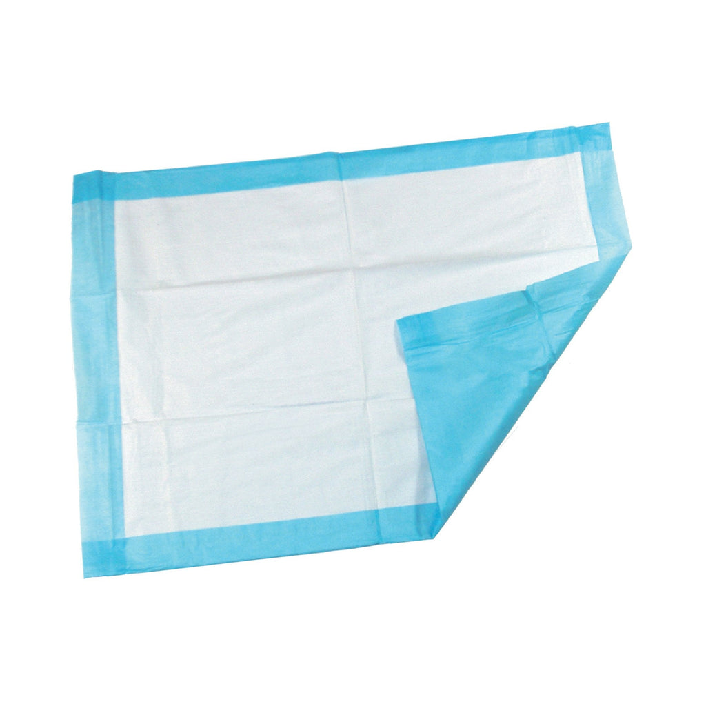 McKesson Light Absorbency Underpad, 22 x 36 Inch