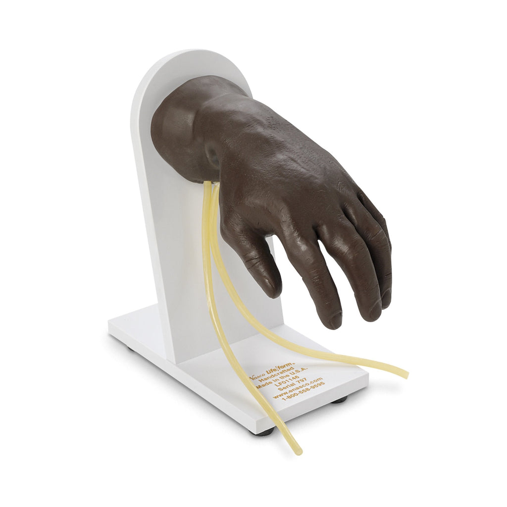 Life/formÂ¨ IV Training Hand Mannequin
