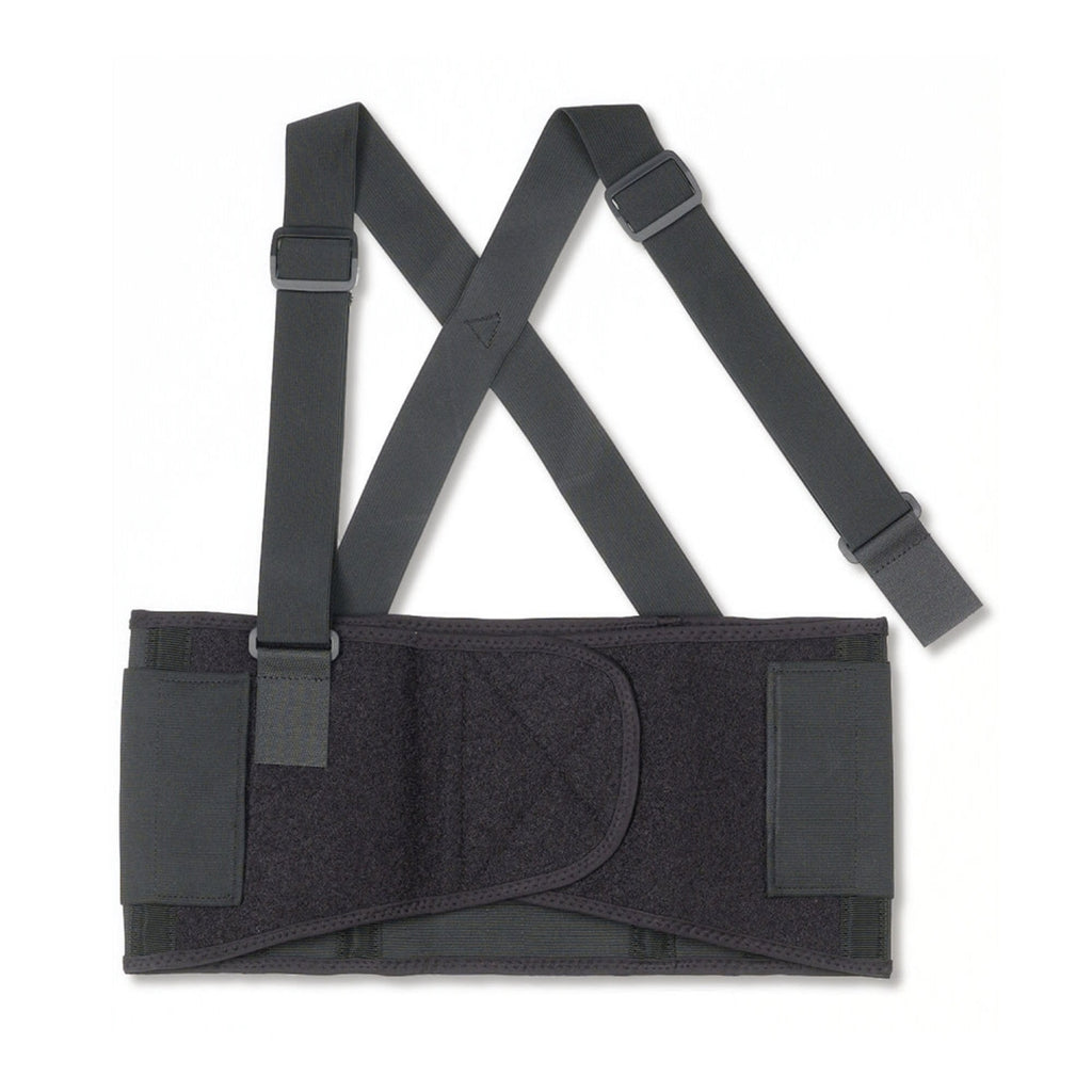 ProFlexÂ¨ 1650 Back Support, Large