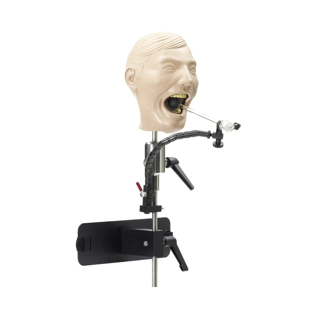 DentoformÂ¨ X-Ray Dental Mannequin