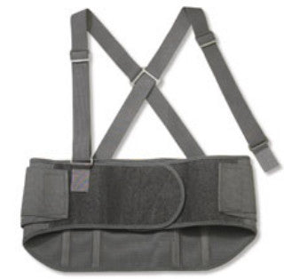 ProFlexÂ¨ Standard Back Support, Large
