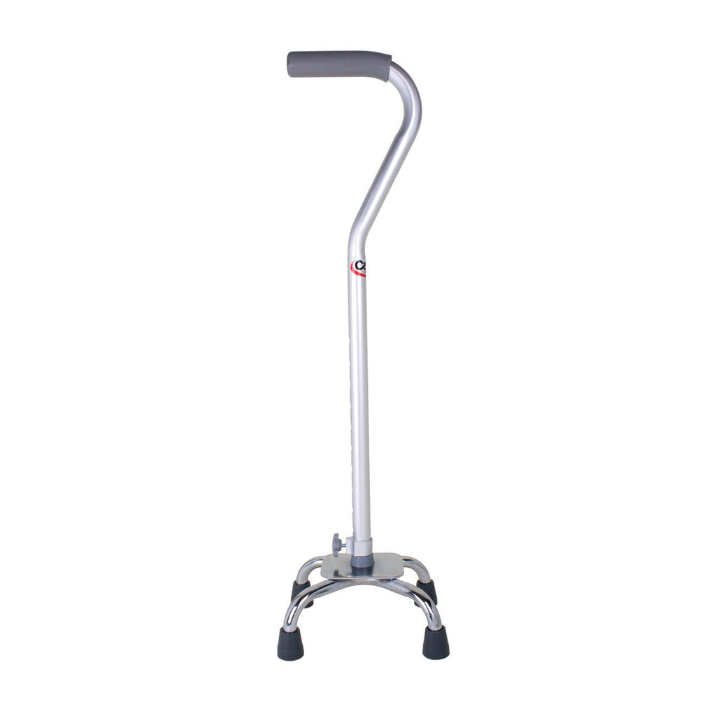CarexÂ¨ Offset Quad Cane with Small Base, Silver
