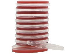 Hardy Diagnostics Tryptic Soy Agar (TSA) with 5% Sheep Blood Prepared Media