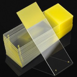 DiamondÂ¨ White Glass Charged Positive Charged Microscope Slide, Yellow Frosted End