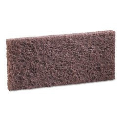 boardwalkÂ¨ Scouring Pad