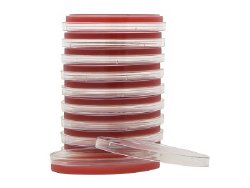 Hardy Diagnostics Selective Strep Agar (COBA Medium) Prepared Media
