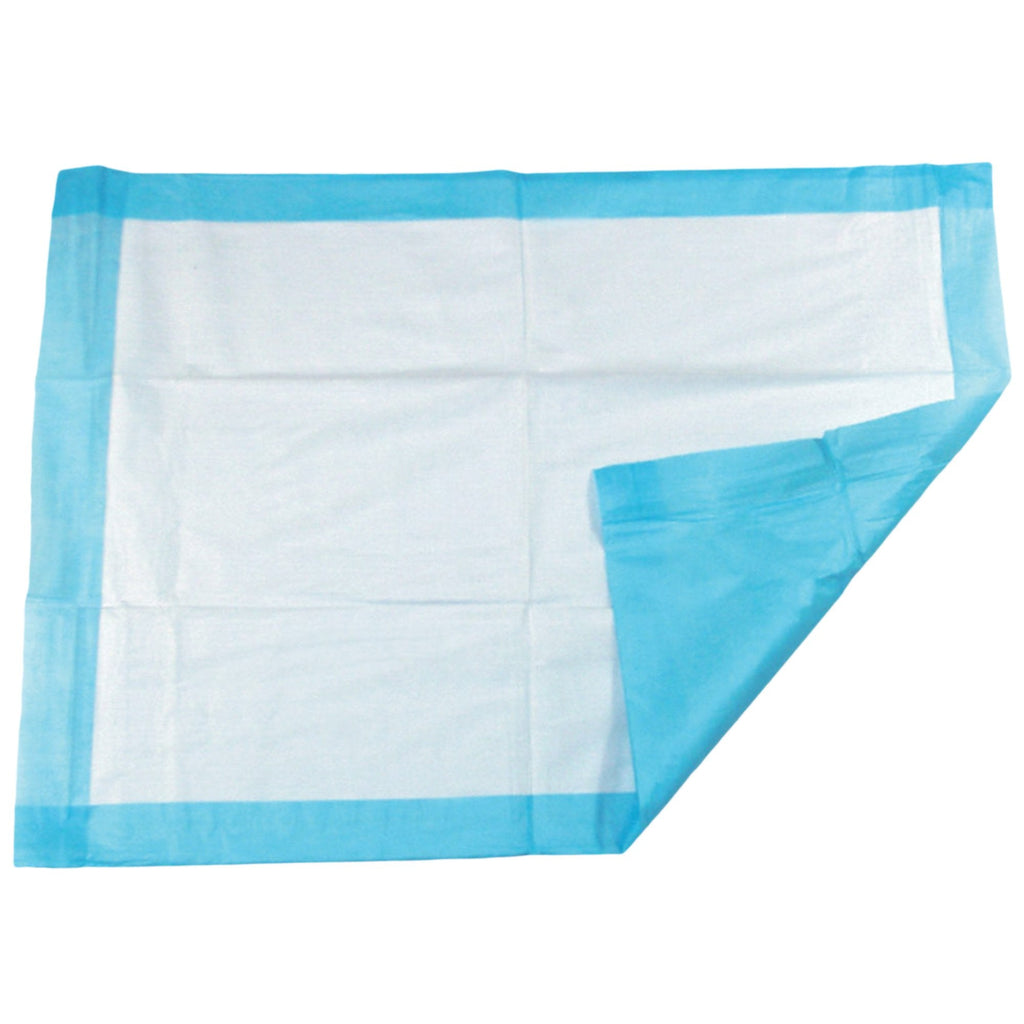 TidiÂ¨ Procedure Underpad, 17 x 24 Inch