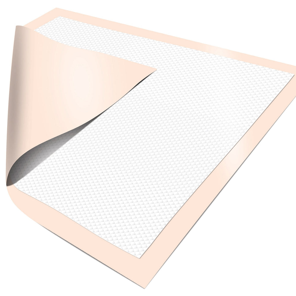 DignityÂ¨ UltrashieldÂ¨ Premium Superabsorbent Underpad, 30 x 30 Inch