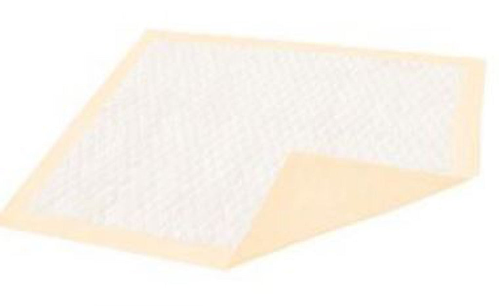 DignityÂ¨ UltrashieldÂ¨ Plus Underpad, 30 X 36 Inch